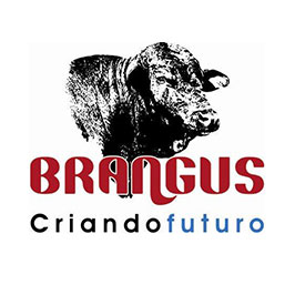 Asociación Criadores de Brangus