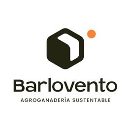 Barlovento